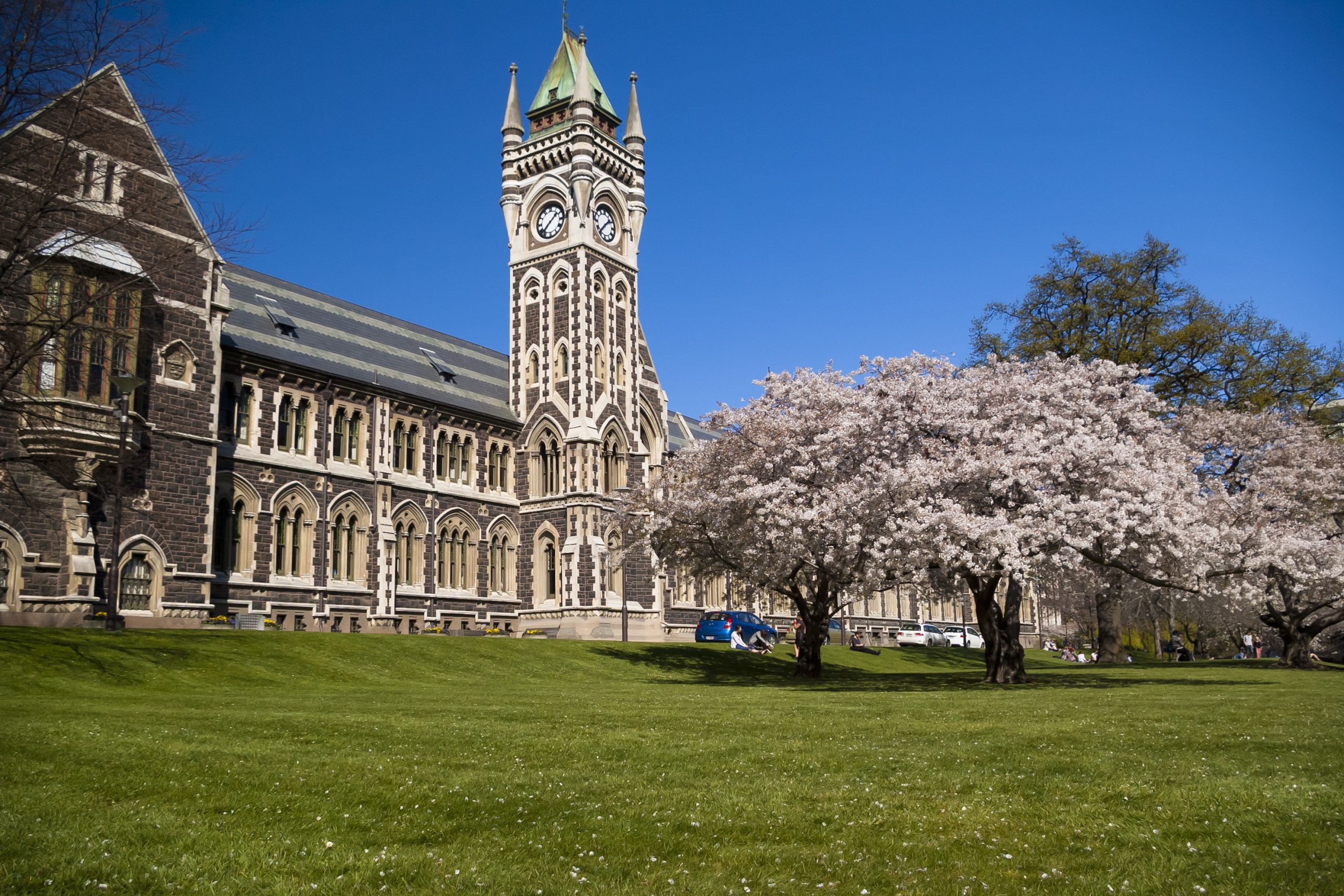 دانشگاه نیوزلند