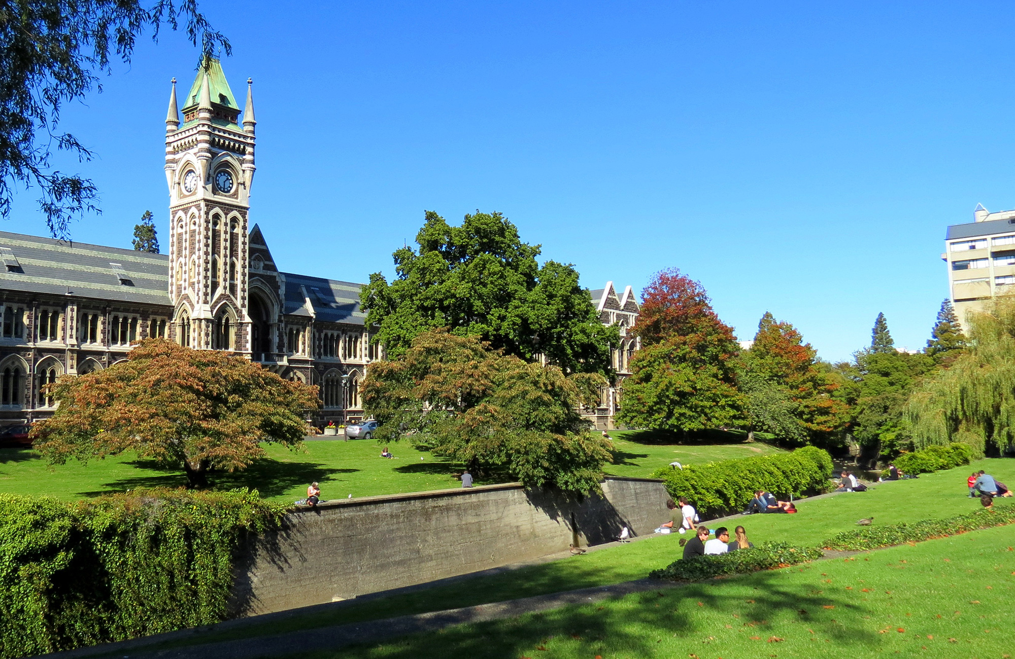تحصیل در دانشگاه نیوزلند